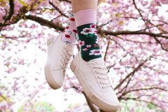 MM_CherryBlossom_Regular_01-