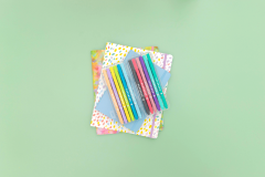 80761_FeltTip_FineLIner_Case-LS