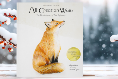 and (1000 x 600 px) - 7