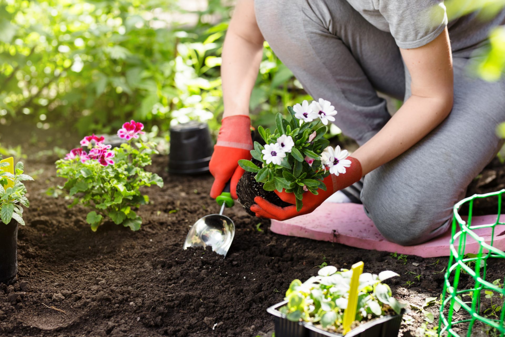 The Benefits of Home Gardening